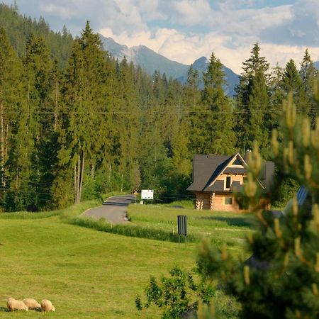 Ferienwohnung Na Kosnych Poronin Exterior foto
